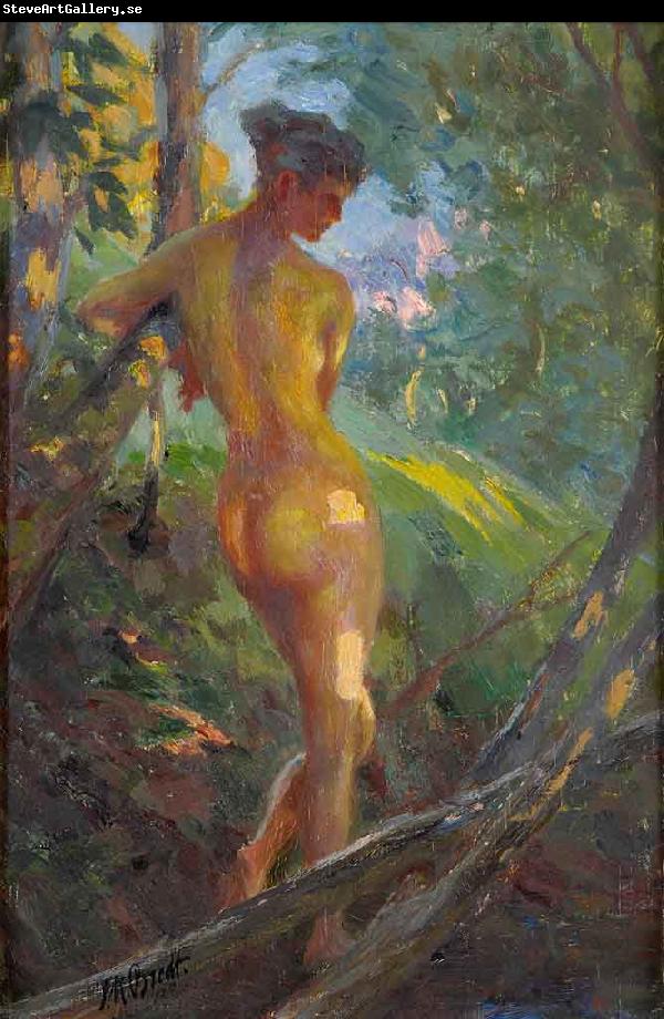 Ferdinand Max Bredt Letzte Sonnenstrahlen